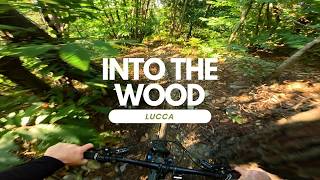 Into the wood  Lucca Tuscany Italy  Trail...