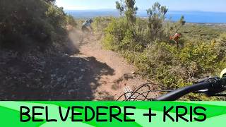 Belvedere 2/5/'26
