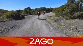 Zago - Poggio Pelato 2/5/'26