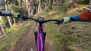 Tschorr Enduro Flowald and Ifilweg trails,...