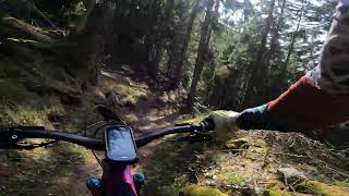 Täholzweg trail, POV, Switzerland, Valais, eMTB