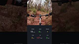 Tiger Trail  (Pickering Brook) - downhill part