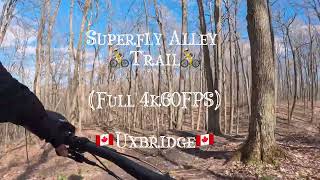 Superfly Alley Trail |Uxbridge Full 4K60FPS