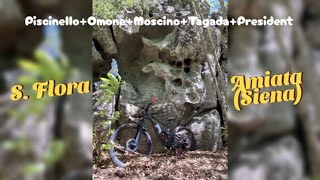 Amiata | S.Fiora...