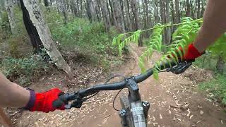 Warburton Bike Park - Warburtron