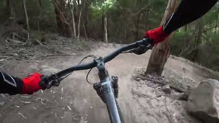 Warburton Bike Park - Hop Scotch
