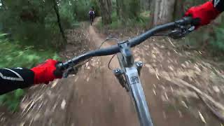 Warburton Bike Park - Captain Crayfish