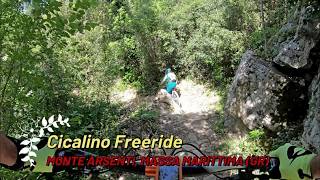 Cicalino Freeride, Massa Marittima (GR),...