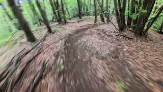 Usciso E87 - Monte Casto Woods
