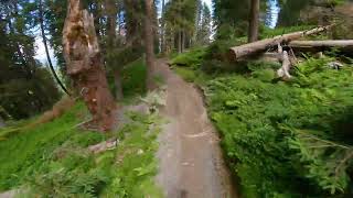 AlteSchmiede Trail - The Epic Bikepark Leogang