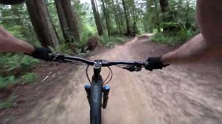 Arcata Community Forest 2023