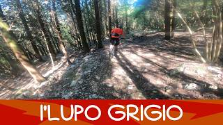 MTB Monte Morello 09.05.2026 sentiero I' LUPO...