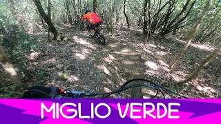 MTB Monte Morello 09.05.2026 sentiero MIGLIO VERDE