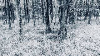 My New Song  “ In This Time “ I hope  you...