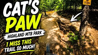 I MISS THIS TRAIL SO MUCH: Cat's Paw at...