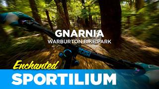 Gnarnia: Entering the Enchanted Forest |...