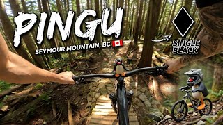 Pingu | Single Black trail | Mount Seymour, BC
