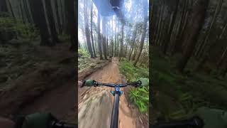 Green Bastard - Burke Mountain