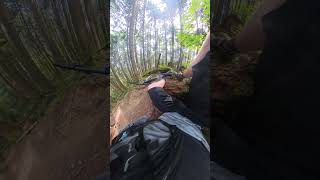 Garbage   Burke Mountain