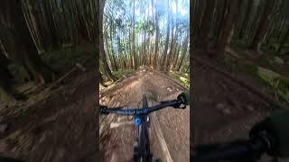 Ray Ray’s Fun Factory - Burke Mountain
