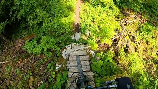 Mtb trail center Kočevje - Jezna čebela