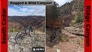 The places I take my mountain bike sometimes...