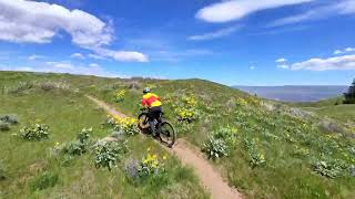 Glacier View Trail Mountain Biking in...