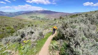 Burt's Trail in Wenatchee's Sage Hills