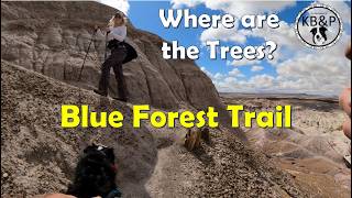 The Blue Forest - Weird Trees - The Petrified...