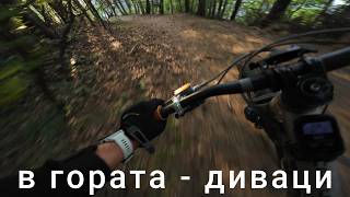 в гората само диваци