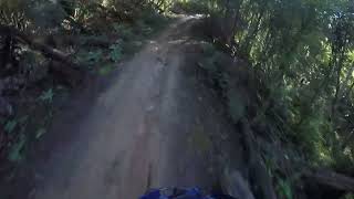 River Track