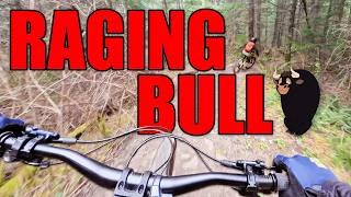 POV: Mess with the bull without getting the horns