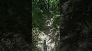 IL PISTINO - PREMILCUORE #mtb #enduromtb...
