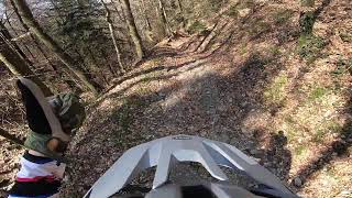 MERCATORUM TRAIL variante destra parte alta - ...