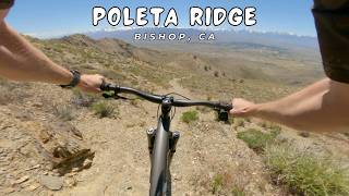 Poleta Ridge / Bishop, CA / MTB