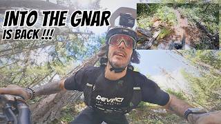 INTO THE GNAR - BACK TO THE ROOTS - TREASURE...