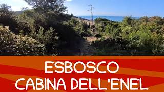 Esbosco + Cabina Enel, Livorno Calafuria...