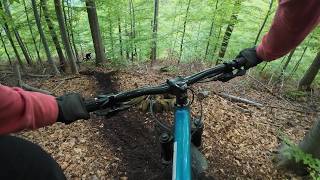 Dzik - nowa trasa w Masywie Chełmca | enduro...