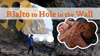 Rialto & Hole In the Wall - Tide Pooling...