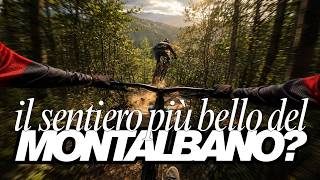 il sentiero più bello del Montalbano? Etrusco...