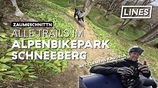 Alle Trails im Alpenbikepark Schneeberg mit...