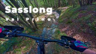 Sasslong