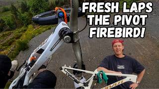 FIRE BIRD DREAM BUILD!