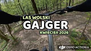 GAJGER | AMFLOW MTB | LAS WOLSKI 2026