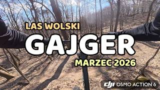 GAJGER | LAS WOLSKI | ENDURO | MTB | DJI OSMO...