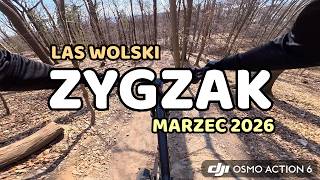 ZYGZAK - LAS WOLSKI | ENDURO MTB RIDE...