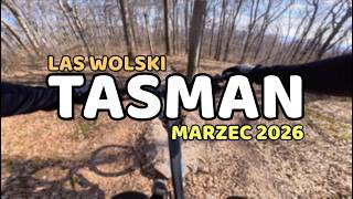 TASMAN | OTWARCIE SEZONU 2026 | LAS WOLSKI | MTB