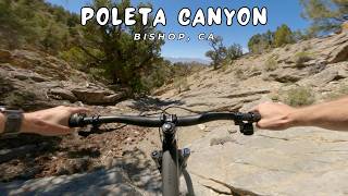 Poleta Canyon / Bishop, CA / MTB