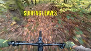 SURFING LEAVES - France, La Semoy,  Norgoutte