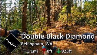 Double Black Diamond - Chuckanut Mountain -...